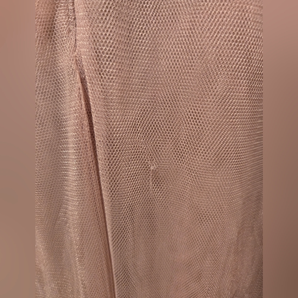 BLHDN Jenny Yoo Aeryn - Dusty Rose - Size 10 - Picture 6 of 10
